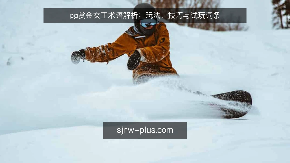 pg赏金女王术语解析:玩法、技巧与试玩词条