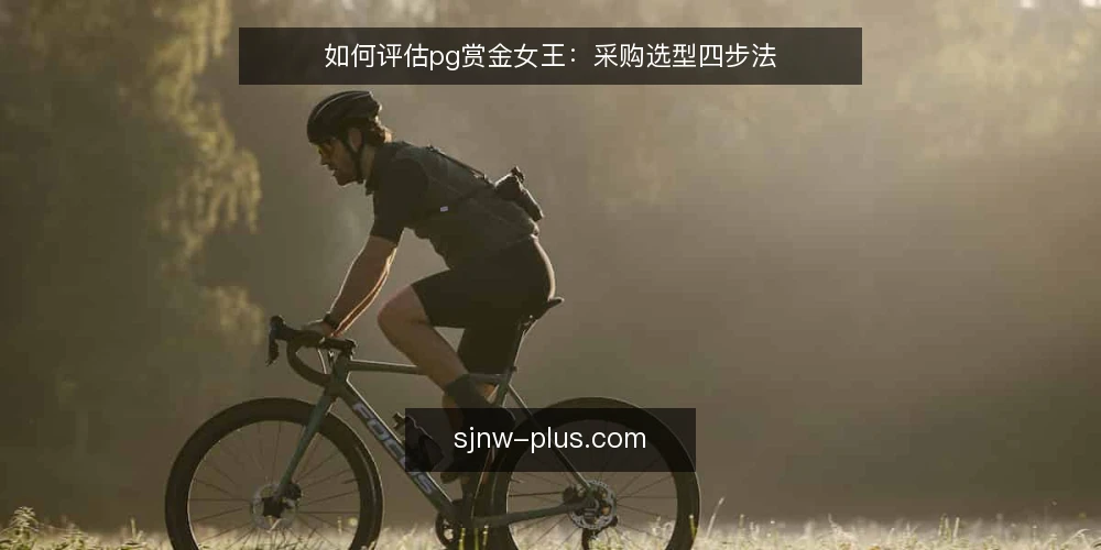 如何评估pg赏金女王:采购选型四步法 — 第一步:明确需求边界 配图