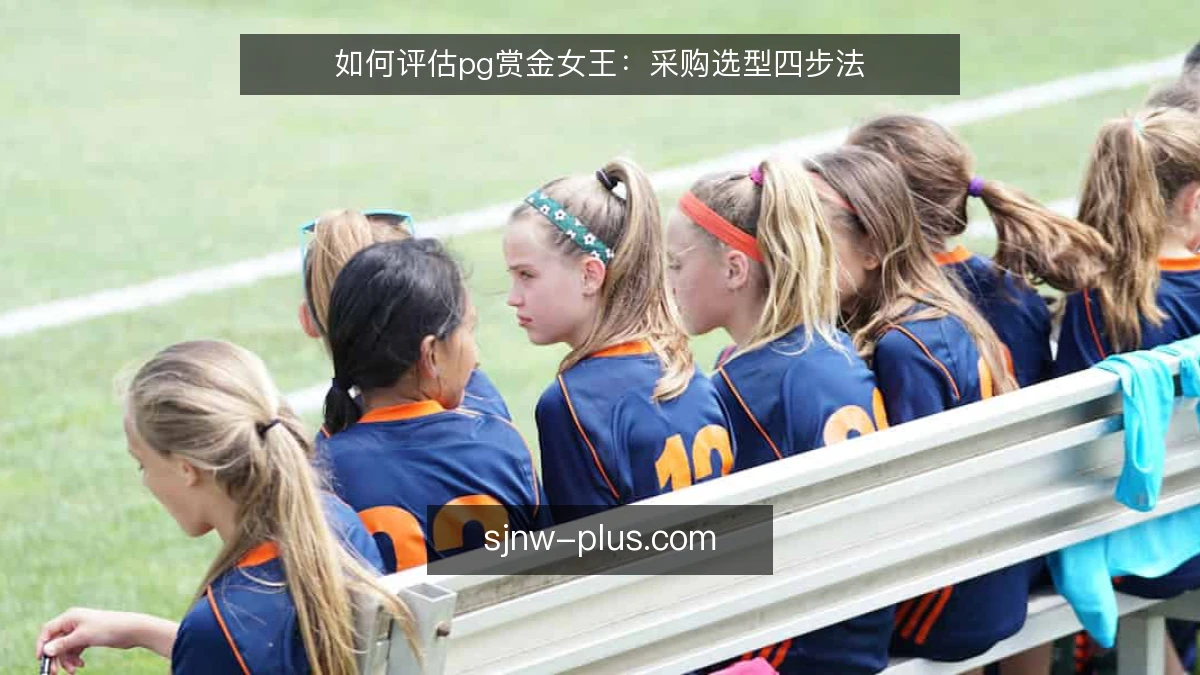 如何评估pg赏金女王:采购选型四步法